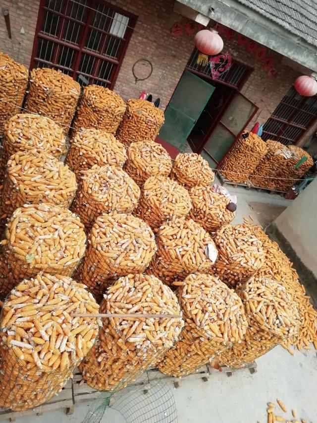 10月，「需要另一个同类」