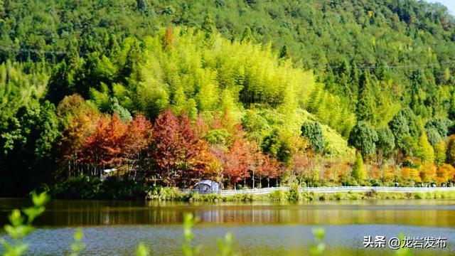龙岩周末去哪儿｜秋的余温，藏在龙岩这些地方→