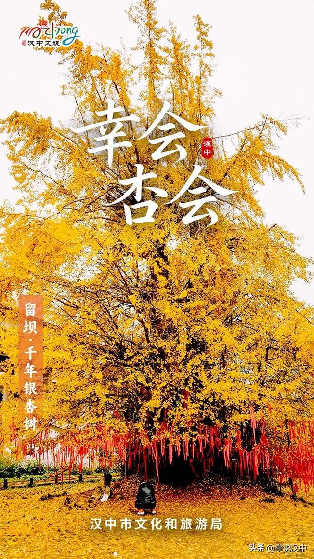 东西南北中，赏秋在汉中！秋日美图上线啦→