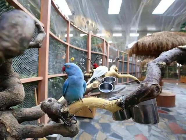 北京宝藏游乐园全龄段嗨玩不重样！石景山有这两处——