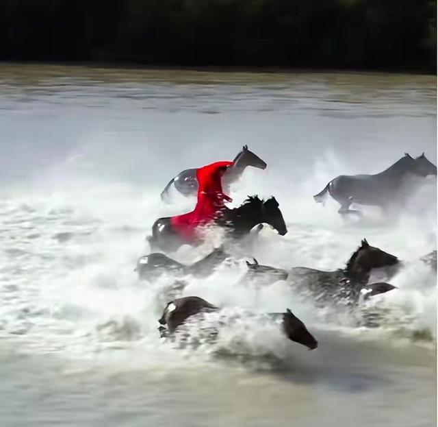 舅舅曝贺娇龙临终细节，靠机器维持心跳	，最后一条朋友圈让人泪目