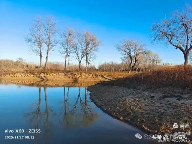 初冬北京玉河湿地公园游记|申艳娟