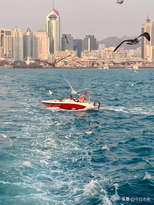 冬日限定浪漫！跟着蒋欣去海上喂海鸥！