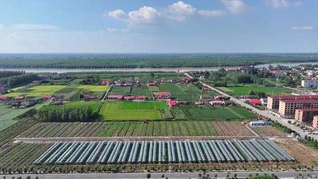 我的宝藏家乡 | 万人肉身筑堤38公里，一座用扁担“抢”出来的小镇