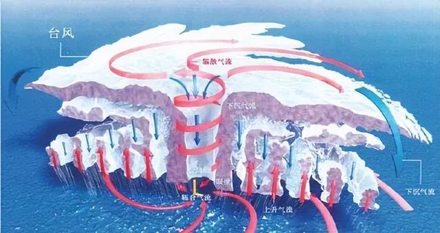桦加沙的“双眼皮”有什么特殊之处