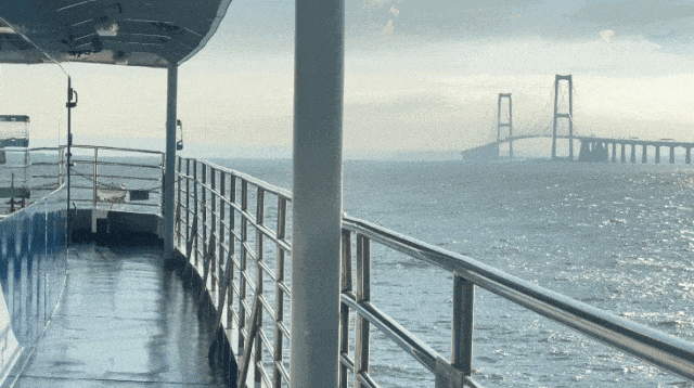 前海看海黄金季来啦，不出发真的会后悔！