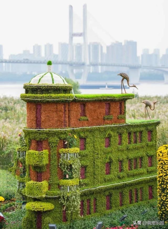 武汉菊花展60万盆花海，游客爆满，这场秋日浪漫让我心动不已