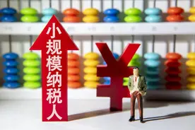 公司选小规模还是一般纳税人图片