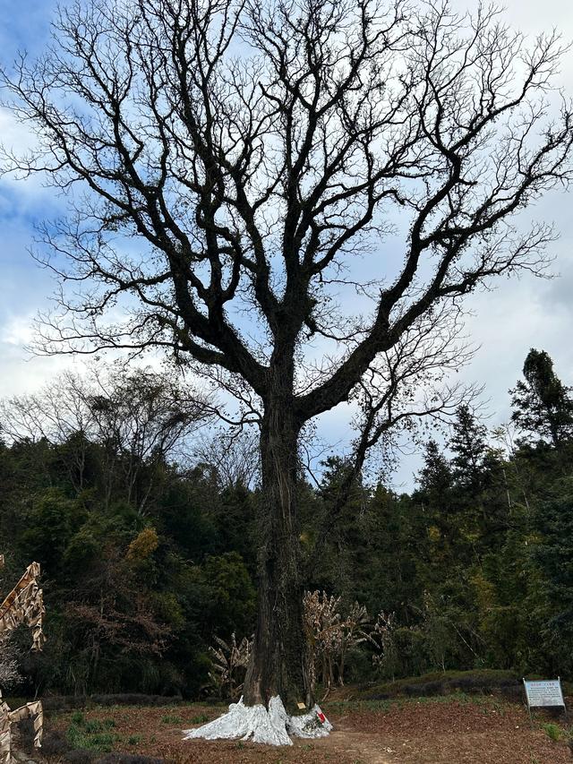 福建南靖土楼——石桥古村落