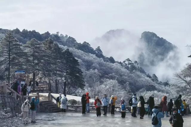 急！黄山冬雪美景即将抵达！准备好迎接仙境了吗？