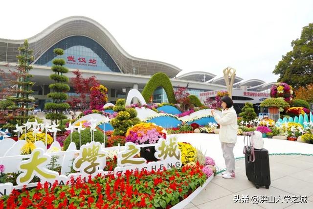 武汉洪山区第38届金秋菊展华美启幕