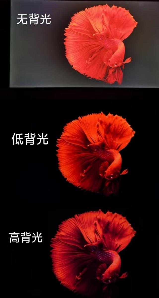 当我把用了8年的55寸电视换成85寸的后，才发现：两者区别太大了