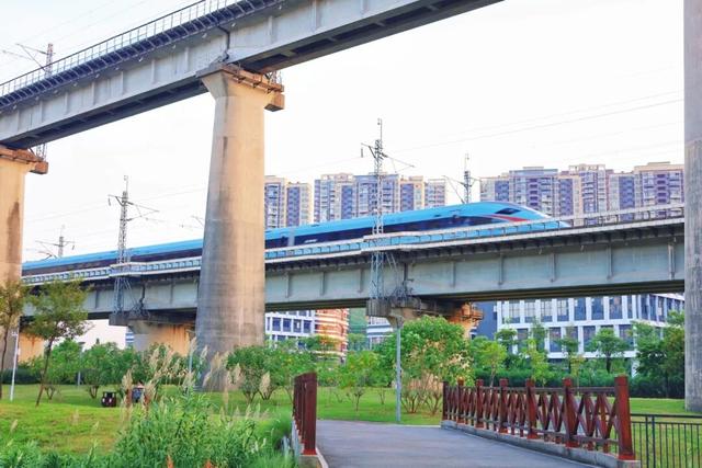 三条高铁并行！桥下还有“宝藏”，等你发现！