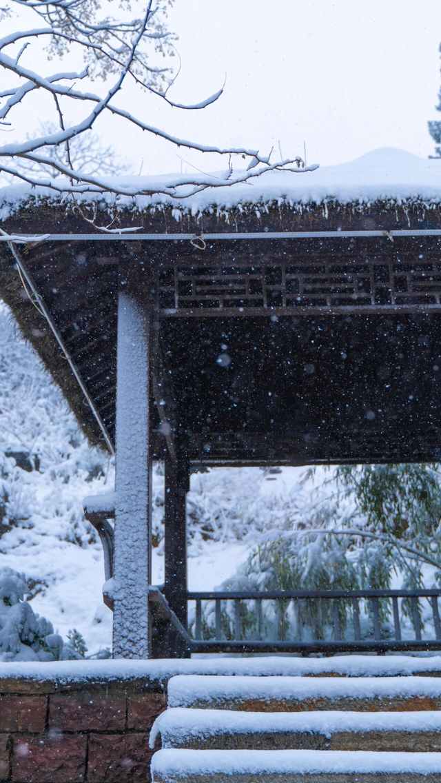 大雪至沂蒙，山水待君游