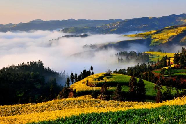 全国第六！罗平再次荣登全国县域文旅融合发展潜力百强榜