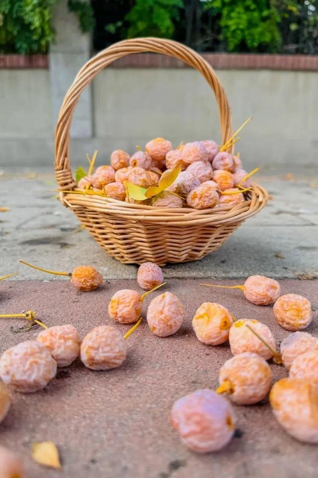 太原市迎泽区：金秋迎泽｜银杏绘就的时光画卷