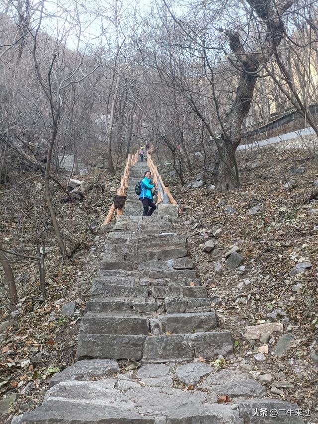 无为在歧路，免费仰天山