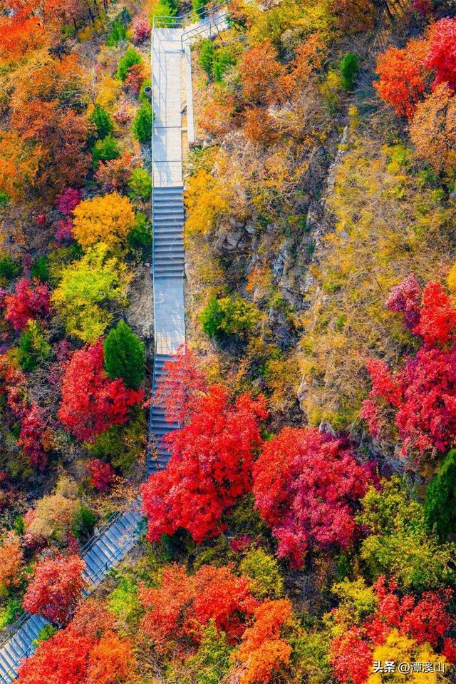 十六载老牌景区焕发新活力！淄博潭溪山“穿越周期”的发展轨迹