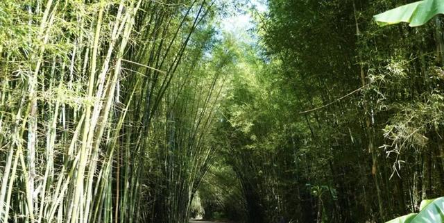 怀集骑行，路上都是风景！
