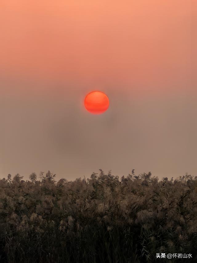 2025辽宁赏秋之旅日记(6)——到辽河口中国最北海岸线看日出 观鸟