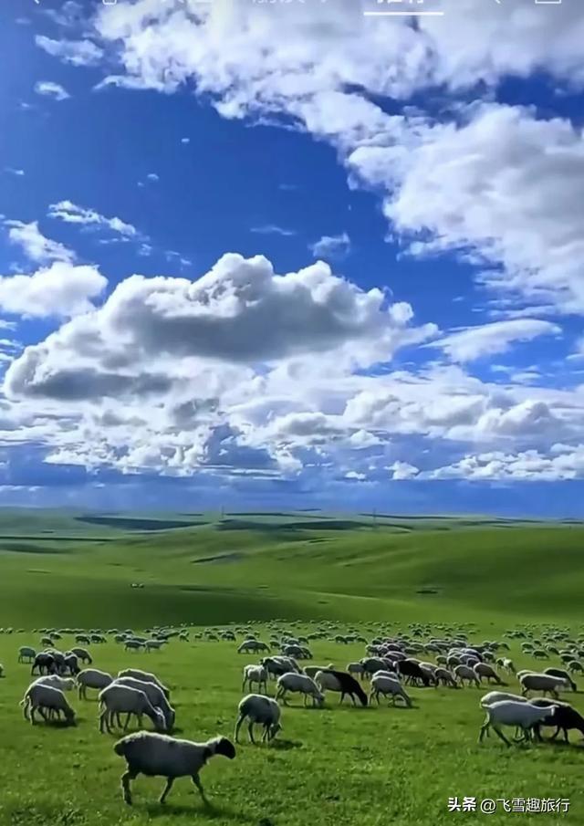自驾呼伦贝尔七天全攻略,邂逅北国风光,行程+景点+美食+住宿