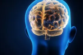 科学家提示：这4种方法可让大脑更聪明，50、60岁老人抓紧学习图片