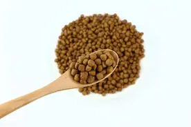 乌龟可以长期吃龟粮吗？乌龟吃龟粮会营养不良吗？您多虑啦！图片