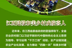 海报组｜江西建设和美乡村成绩喜人图片
