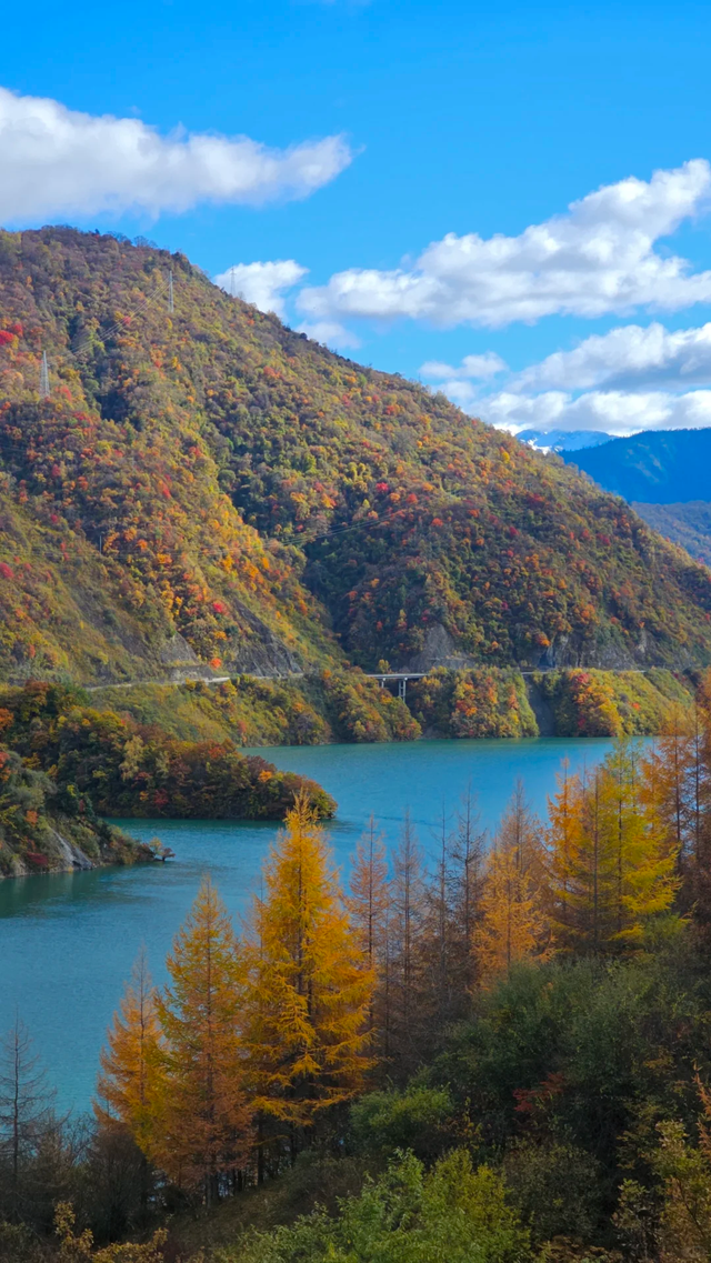 比光雾山好看，比米亚罗便宜！成都4h直达小众彩林0门票，红遍了