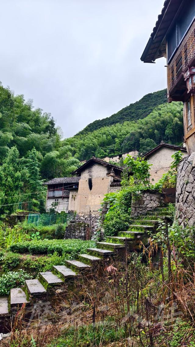 皖浙摩旅二人转——松阳横坑村篇（下）
