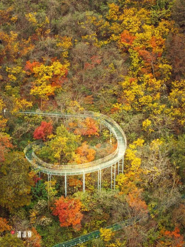 爆肝整理！黄陂登山徒步路线推荐！