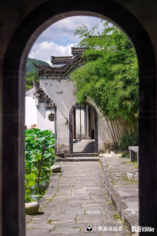 好景与君同 | 影宴同享：诗酒趁年华，影宴共此时 | 皖美夏日
