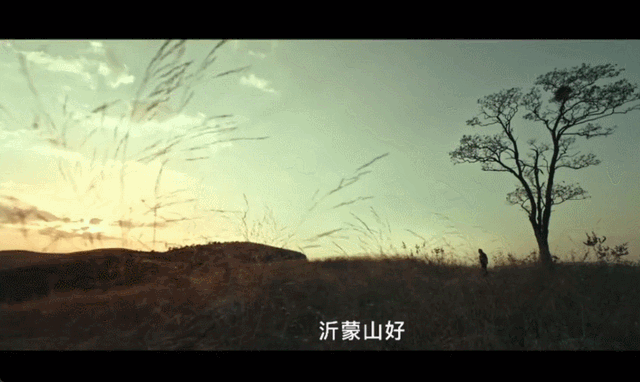 《生万物》才播三分之一，就被抬走了？​央八这波操作，真有点狠