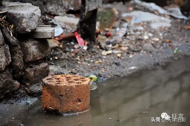 2015年的西沽