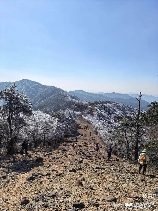邂逅2026年的第一场醉美雾凇！温州四海山的雾凇美爆了！