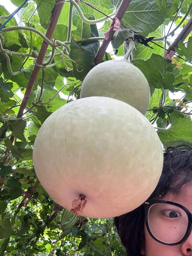 7月，夏天已经不会变成暑假来拯救我们了（下）
