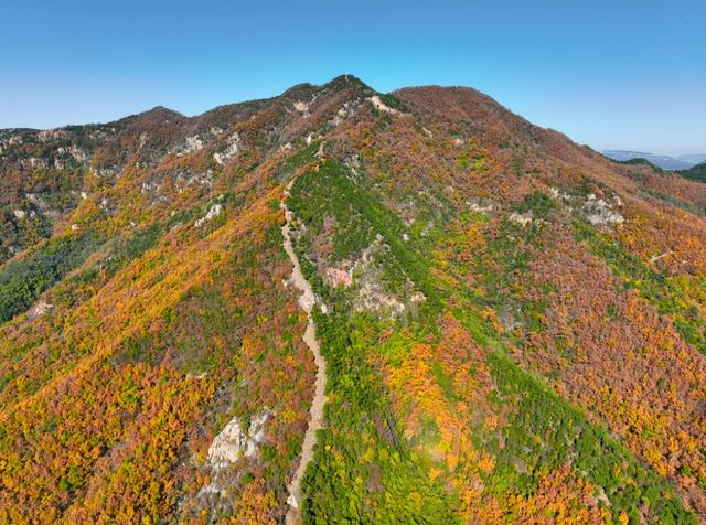 调色盘已打翻，泰山西麓这场初冬色彩之约别错过