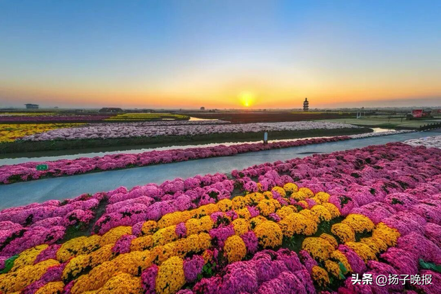 泰州动物园官宣：全球免票