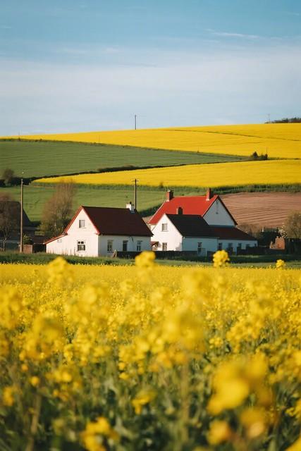 人老了才懂有个乡村小院，比住城里学区房还值，这5个好处谁不想