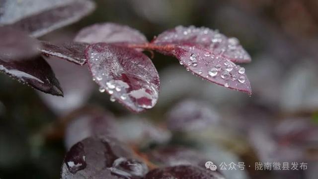 徽县:秋雨连绵 水墨映人间
