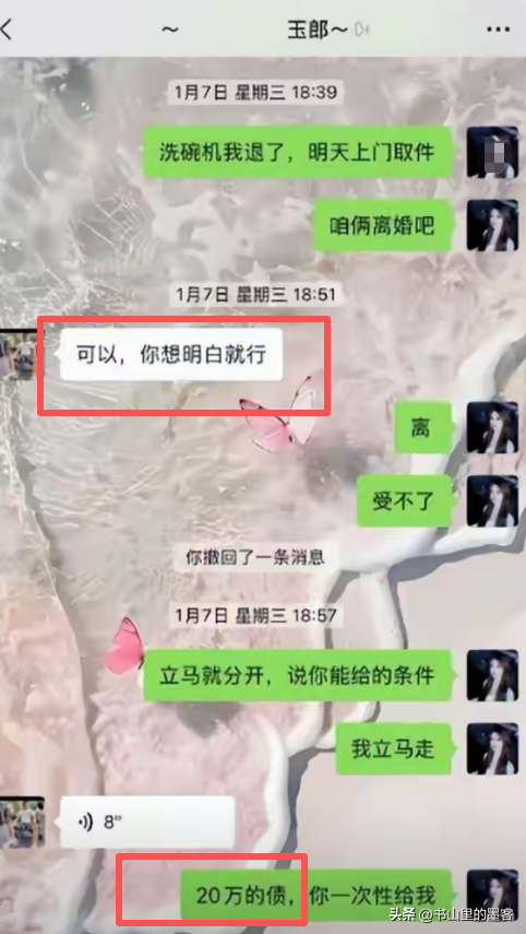 买洗碗机遭丈夫砸家后续：女子再发声，欠了外债20万 更多内情流出