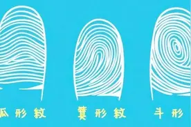 “一斗穷二斗富”，簸箕和斗和命运真有关系？科学家揭示基因秘密图片