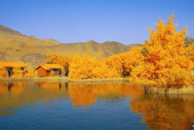 酒泉多坝沟胡杨峡，山势奇特，景色如画，隐藏着大西北的极致秋色