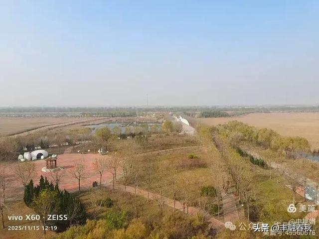 苇风载秋,鹤影映波——河北黄骅南大港湿地的初冬漫游| 申艳娟