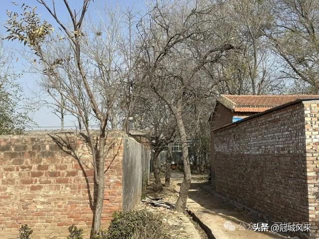 冠县乡韵·辛集镇饮马庄