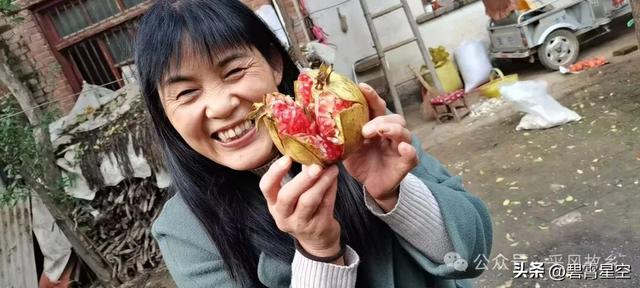 读懂了“红柿子”，也就读懂了大美中国的烟火气和“中国红”