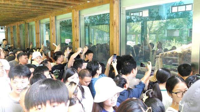 日接待游客超10万人次！黔灵山公园凭什么成了贵州旅游的顶流？