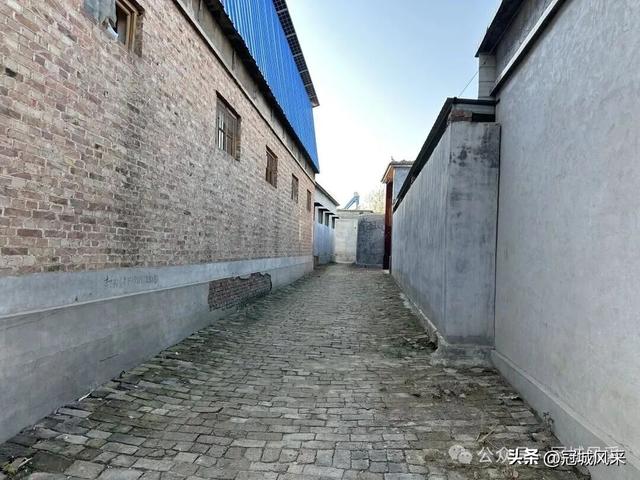 冠县乡韵·贾镇洼里村