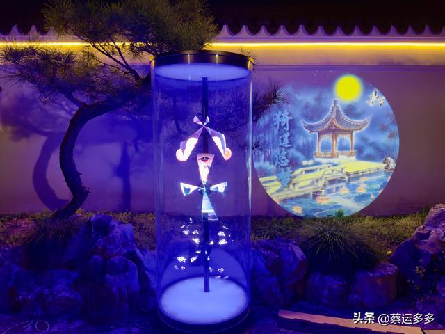夜游上海古猗园，夜景璀璨迷人