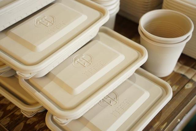 竹子能救地球？中国这招太狠了！专家解谜竹子代替塑料的战略意义